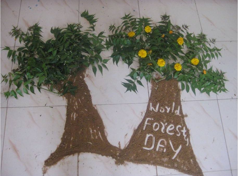 World Forestry Day = Yay!