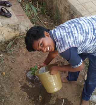 Shimradev