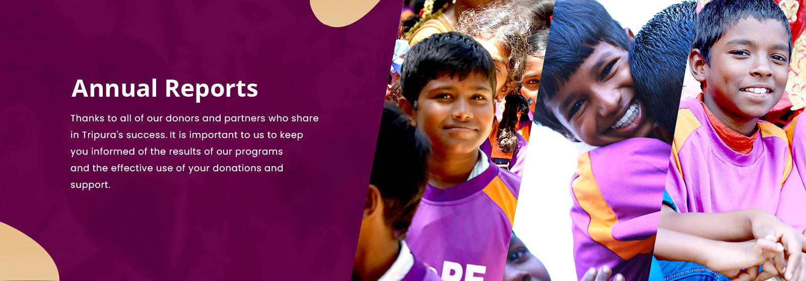 Banner_annual_report
