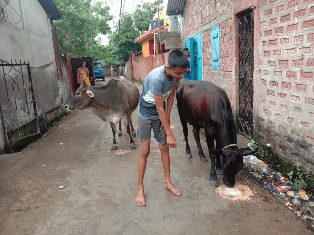 Even Hope Children are inspired by your giving! Here a child gives grains to an orphaned cow while others look on, proving that giving in charity brings contentment, and happiness is contagious!